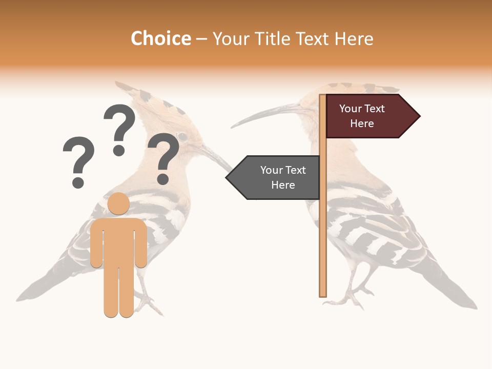 Color Animal Colorful PowerPoint Template