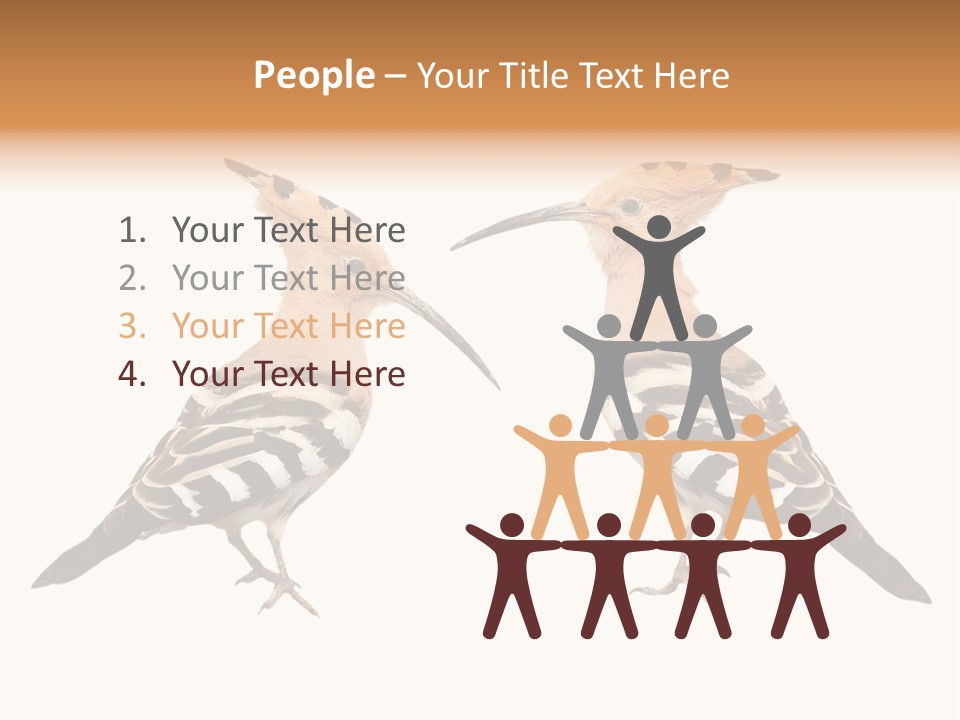 Color Animal Colorful PowerPoint Template