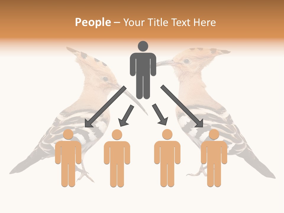 Color Animal Colorful PowerPoint Template