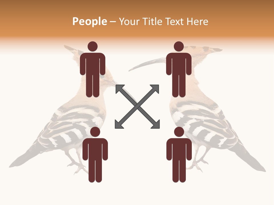 Color Animal Colorful PowerPoint Template