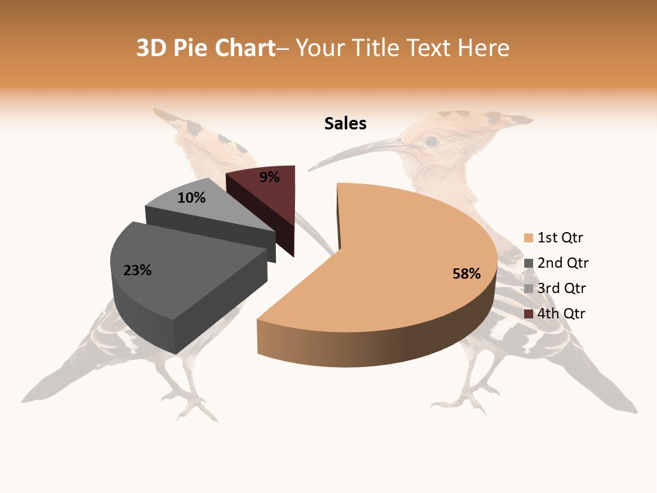 Color Animal Colorful PowerPoint Template