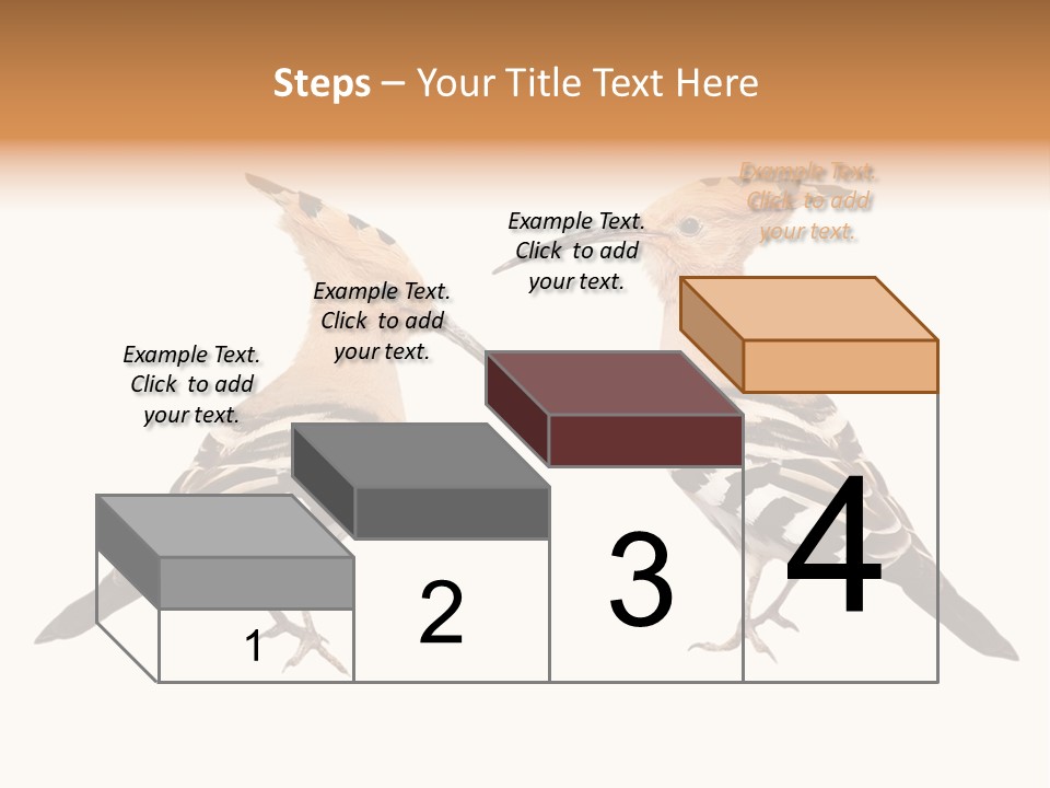 Color Animal Colorful PowerPoint Template