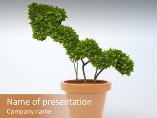 Sign White Market PowerPoint Template