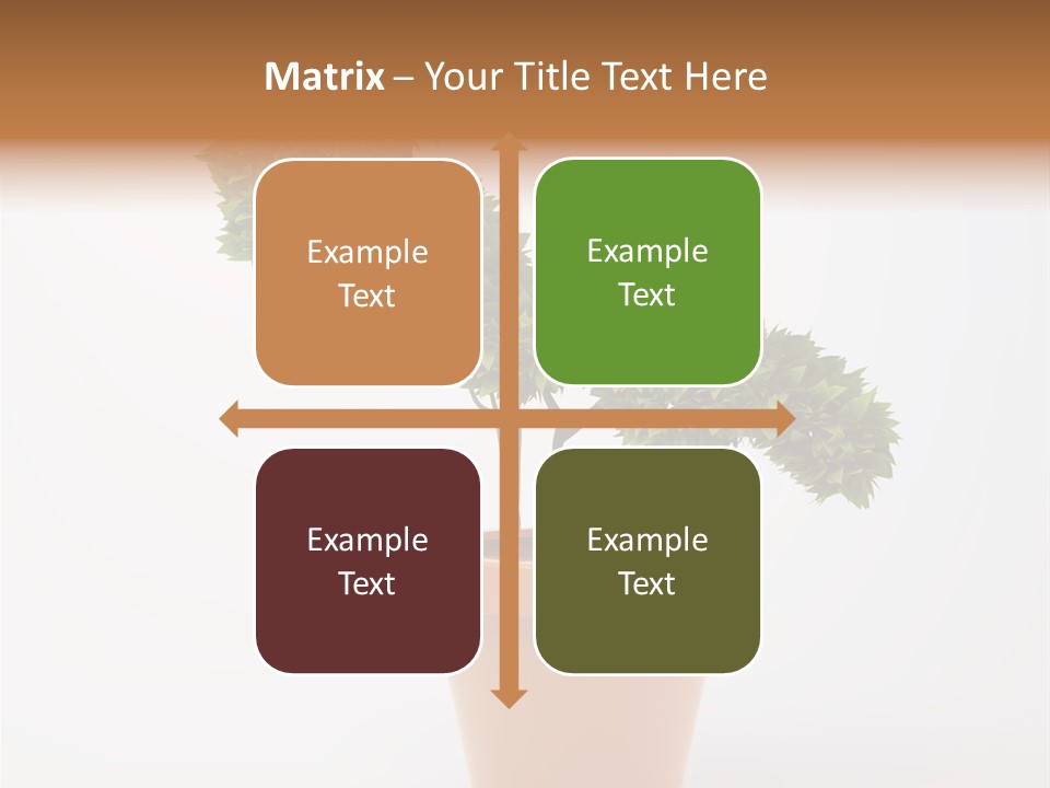 Sign White Market PowerPoint Template