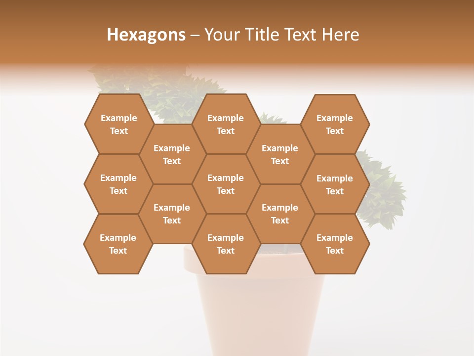 Sign White Market PowerPoint Template