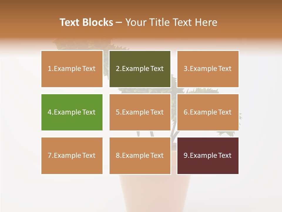 Sign White Market PowerPoint Template