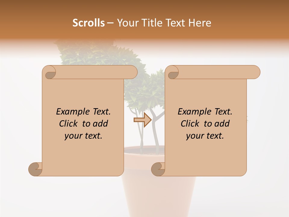 Sign White Market PowerPoint Template