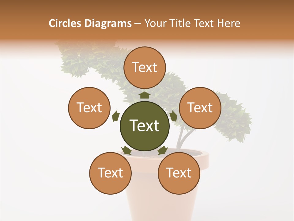 Sign White Market PowerPoint Template