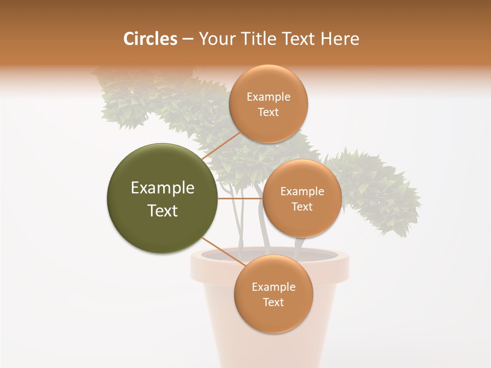 Sign White Market PowerPoint Template