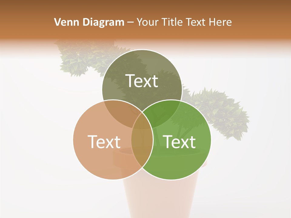 Sign White Market PowerPoint Template