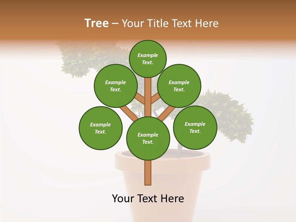 Sign White Market PowerPoint Template