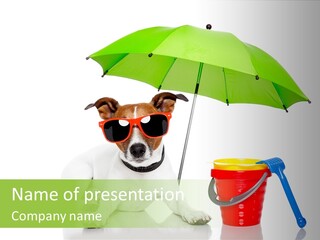 Orange Summertime Blue PowerPoint Template