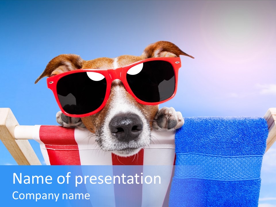 Colorful Puppy Lazy PowerPoint Template