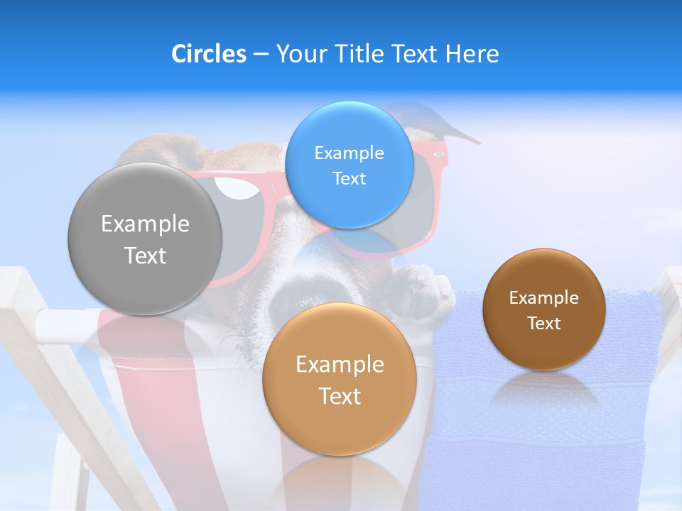 Colorful Puppy Lazy PowerPoint Template