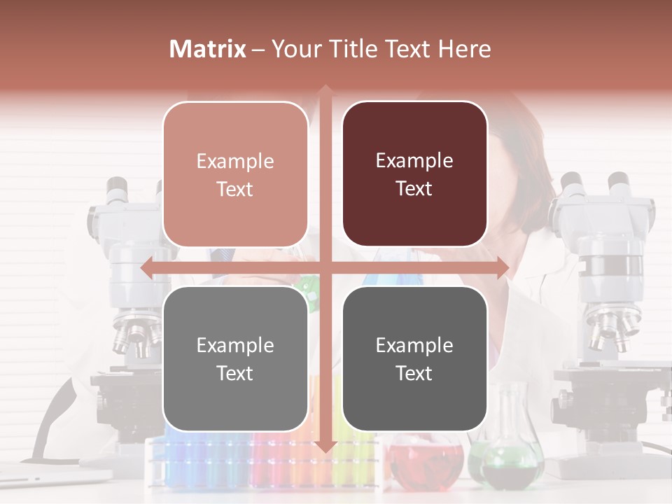 University Professional Study PowerPoint Template