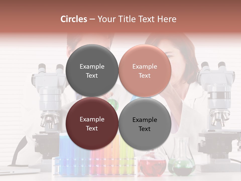 University Professional Study PowerPoint Template