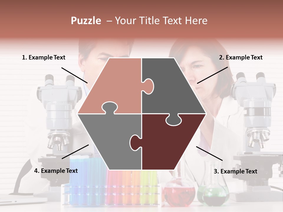 University Professional Study PowerPoint Template