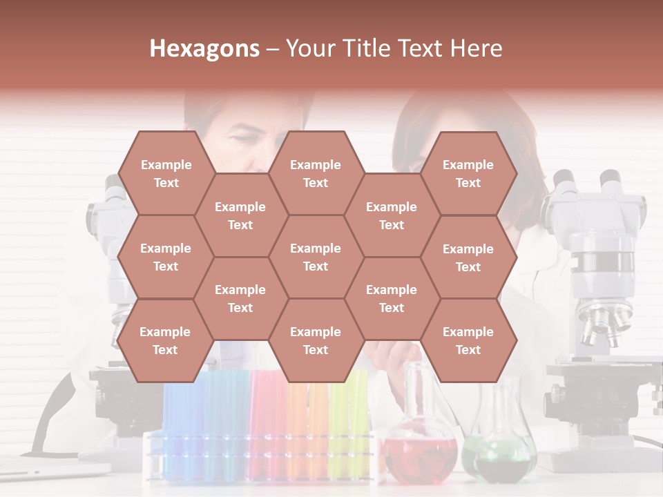 University Professional Study PowerPoint Template