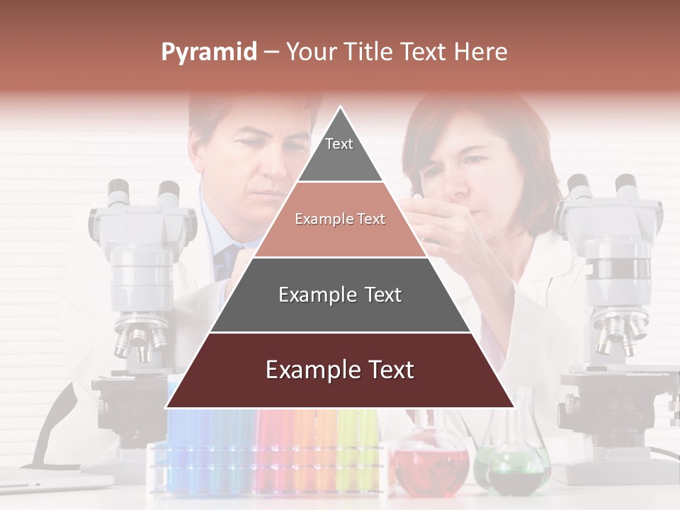 University Professional Study PowerPoint Template