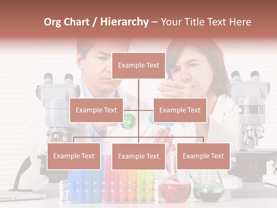 University Professional Study PowerPoint Template