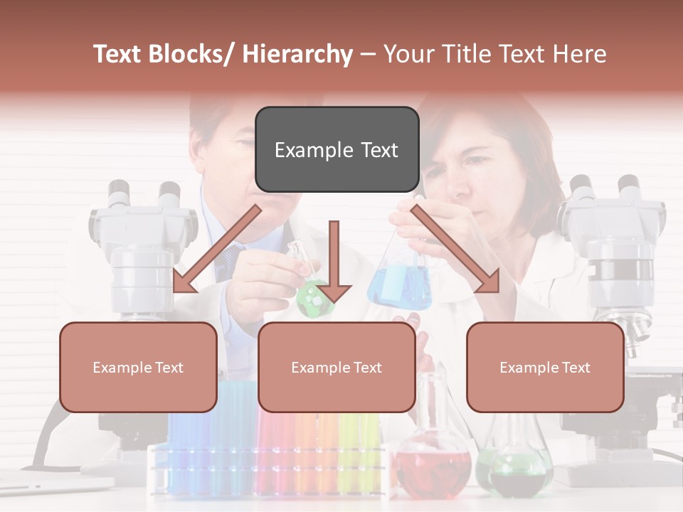 University Professional Study PowerPoint Template