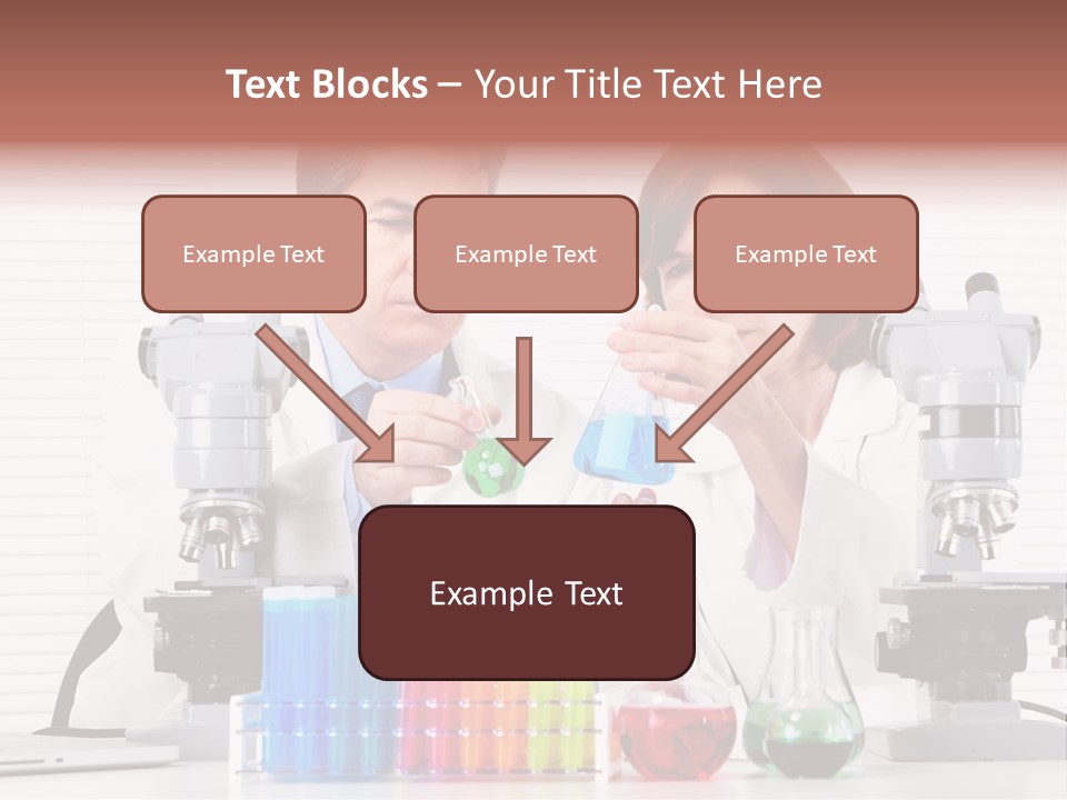 University Professional Study PowerPoint Template