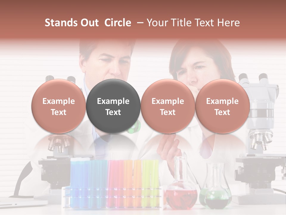 University Professional Study PowerPoint Template