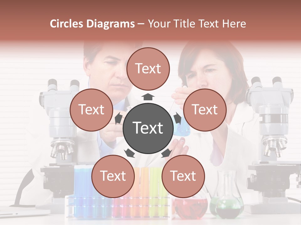 University Professional Study PowerPoint Template