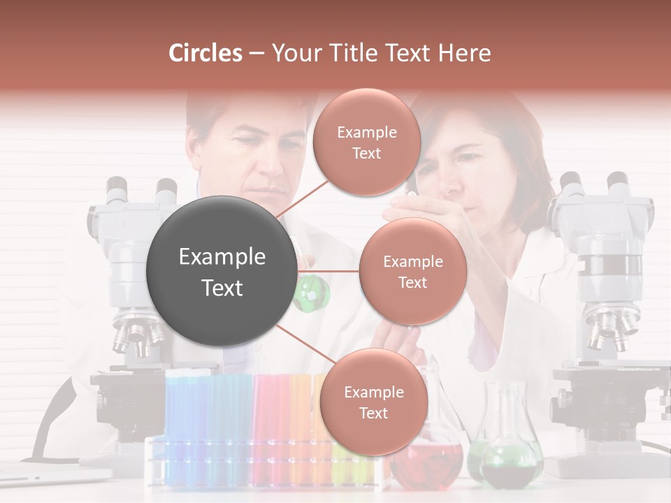 University Professional Study PowerPoint Template