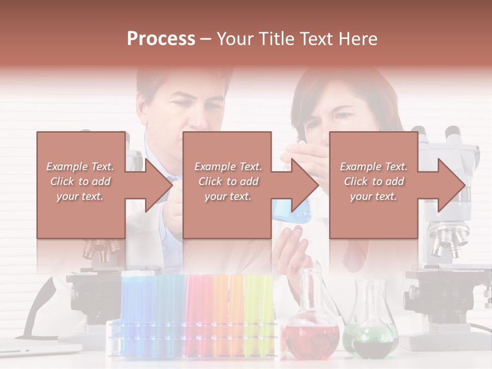 University Professional Study PowerPoint Template