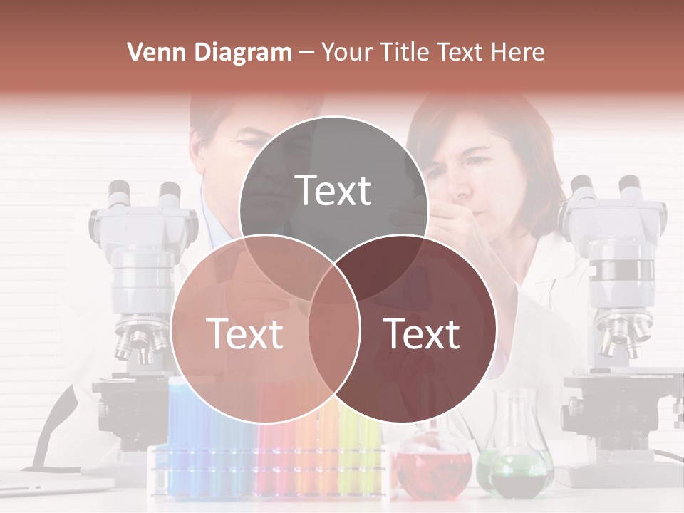 University Professional Study PowerPoint Template