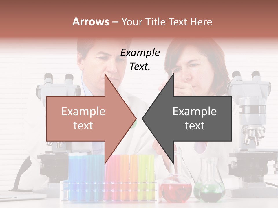 University Professional Study PowerPoint Template