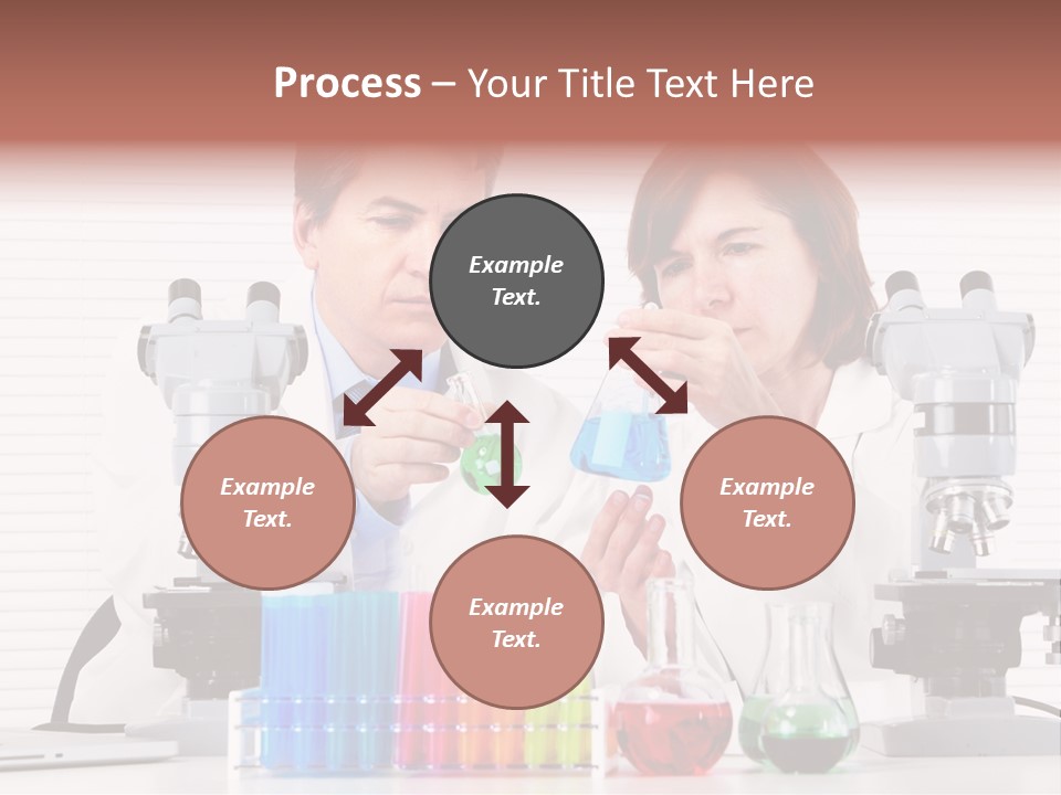 University Professional Study PowerPoint Template