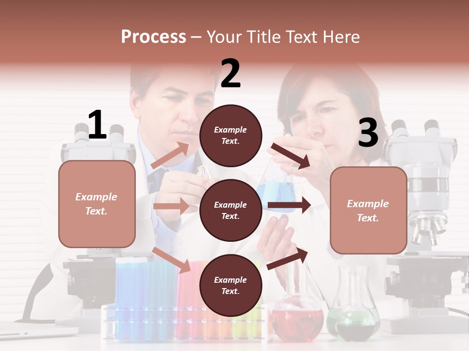 University Professional Study PowerPoint Template