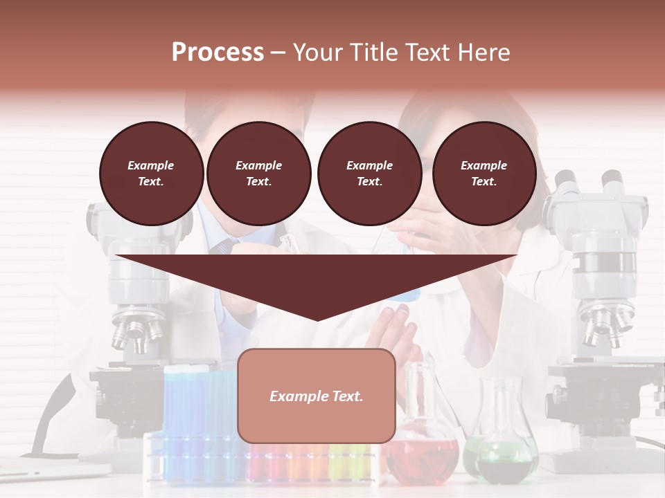 University Professional Study PowerPoint Template