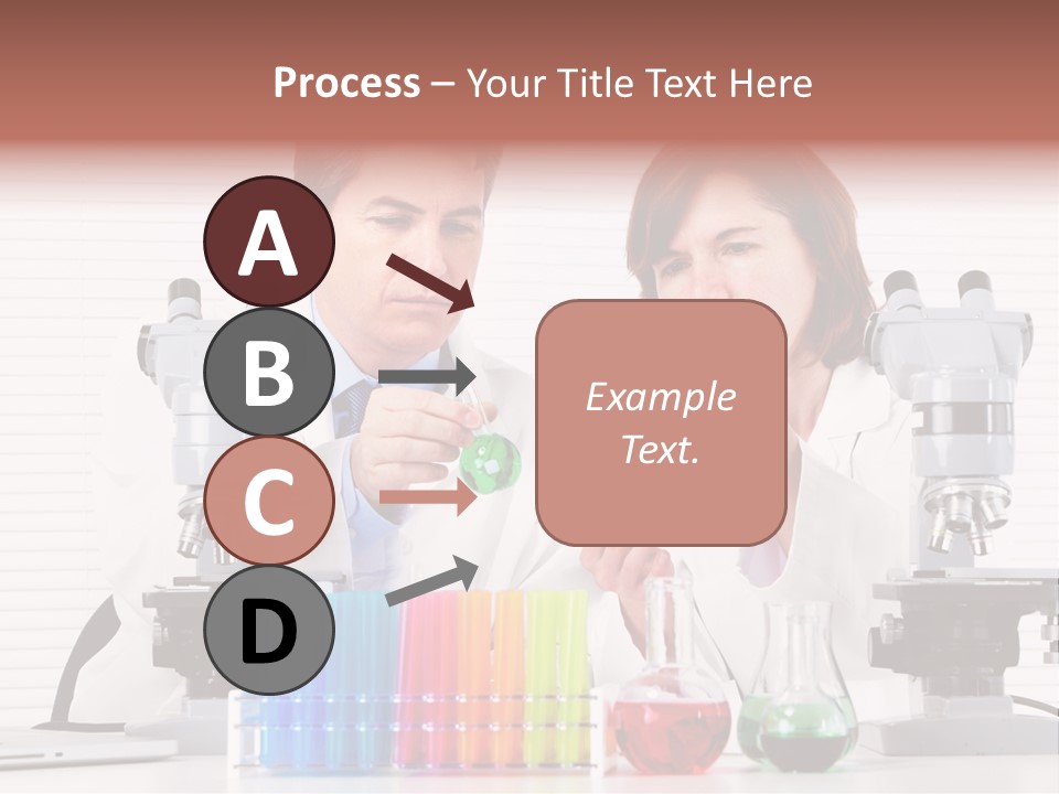 University Professional Study PowerPoint Template