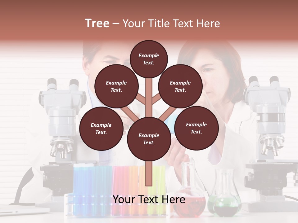 University Professional Study PowerPoint Template