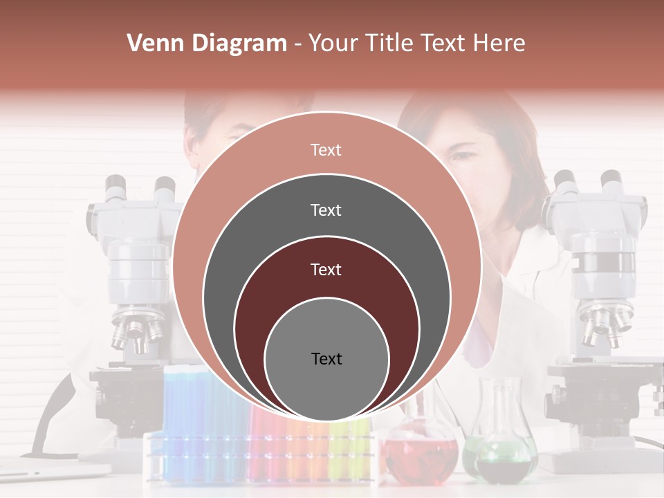 University Professional Study PowerPoint Template