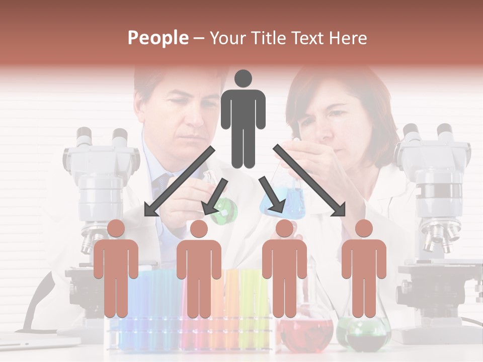 University Professional Study PowerPoint Template