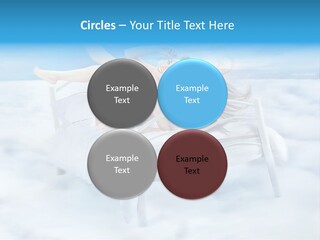 Bright Curtain Young PowerPoint Template
