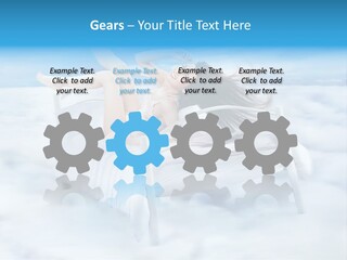 Bright Curtain Young PowerPoint Template
