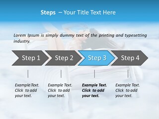 Bright Curtain Young PowerPoint Template