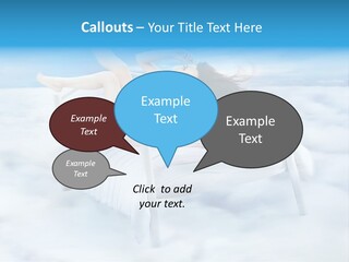 Bright Curtain Young PowerPoint Template