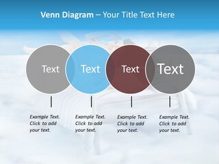 Bright Curtain Young PowerPoint Template