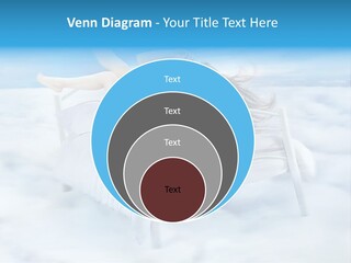 Bright Curtain Young PowerPoint Template