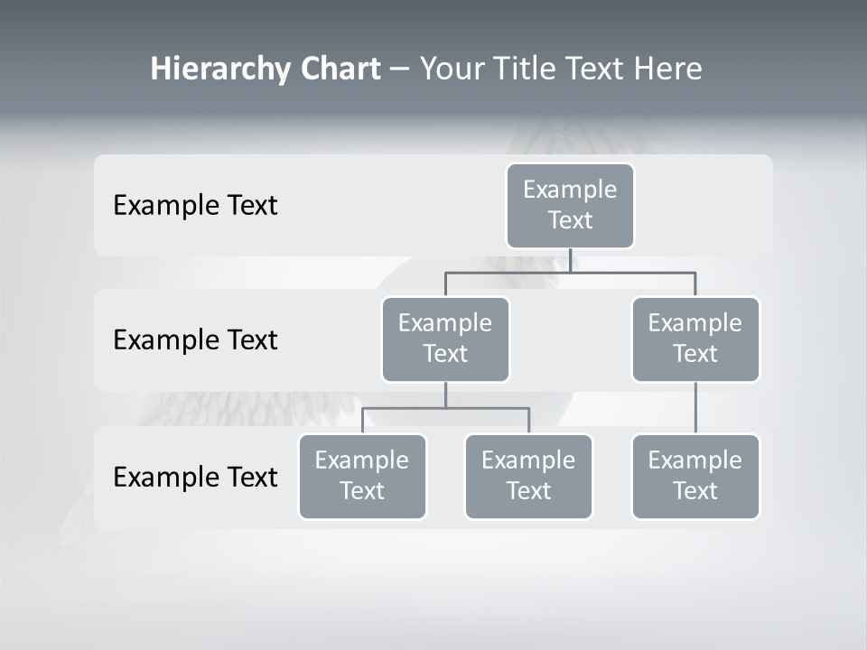 Spirit Inspiration Concept PowerPoint Template