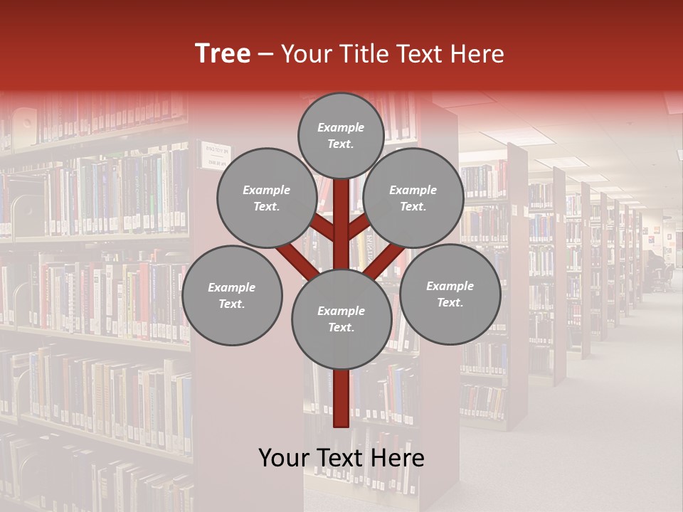 Library Bookstore Bookstall PowerPoint Template