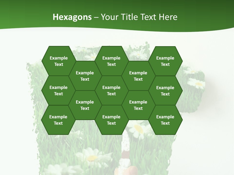 Woodlands Canada Peaceful PowerPoint Template