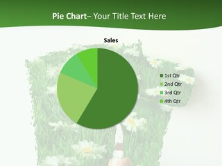 Woodlands Canada Peaceful PowerPoint Template