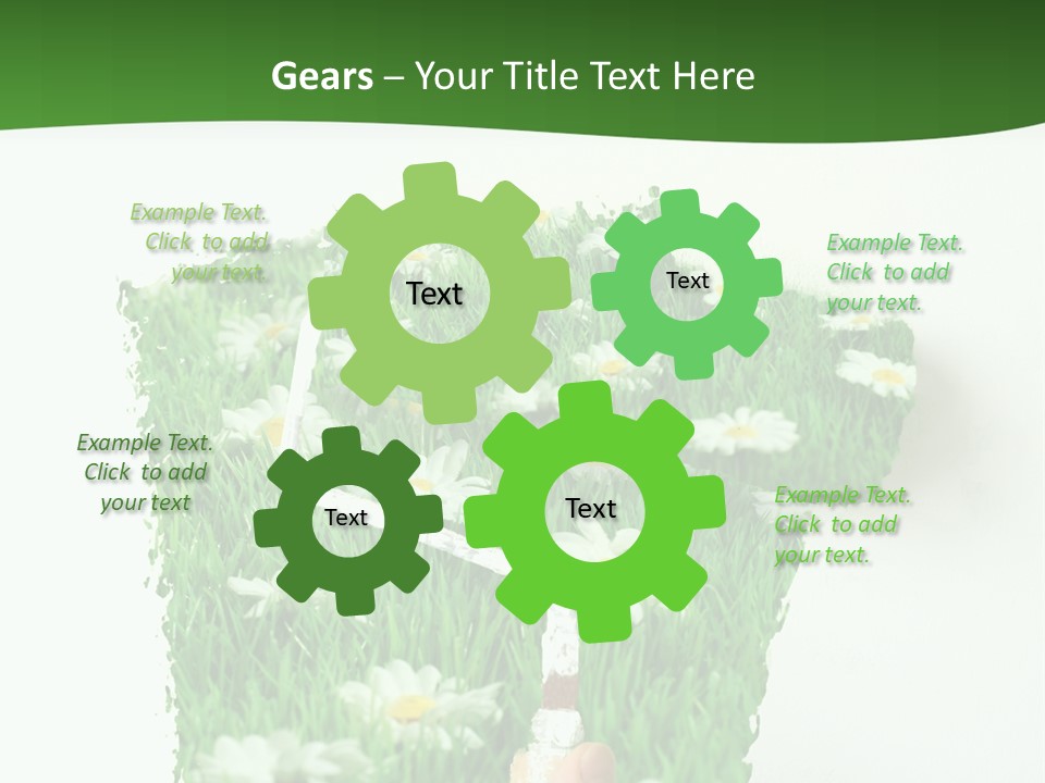 Woodlands Canada Peaceful PowerPoint Template